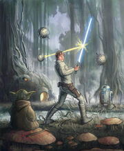 DagobahTraining - Jeff Carlisle.jpg