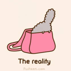 pusheen stormy