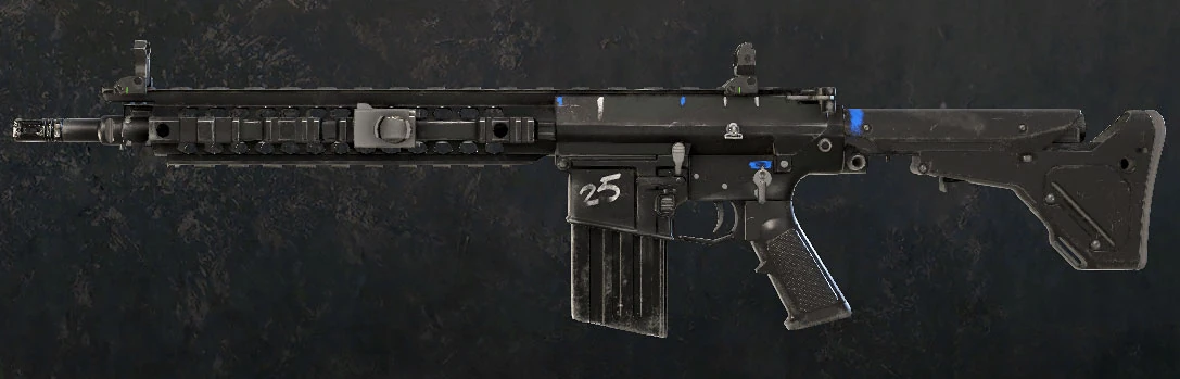 R6S-sr25.jpg