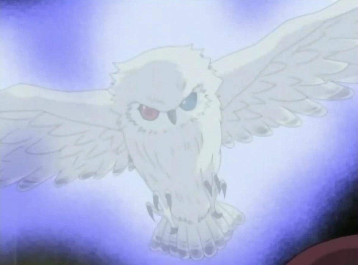 Mukuro (Mist Owl) Reborn Wiki Fandom powered by Wikia