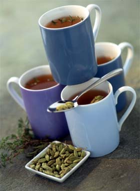 Tisane