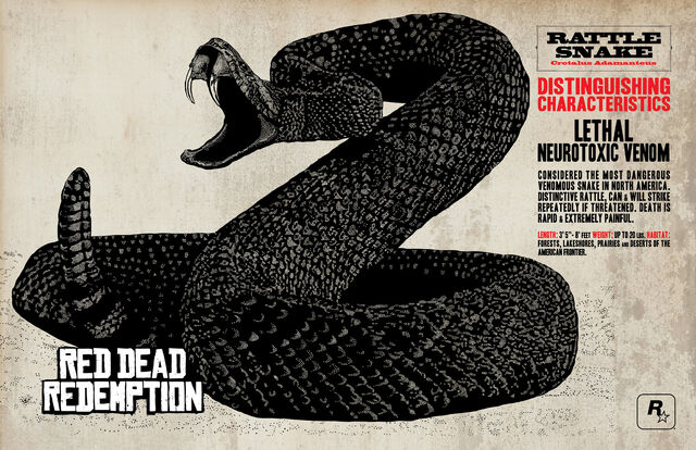 File:Snake.jpg