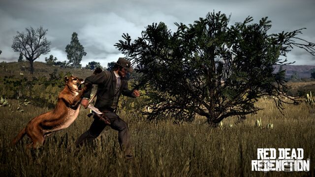 File:Red-dead-redemption-20100128005811943.jpg