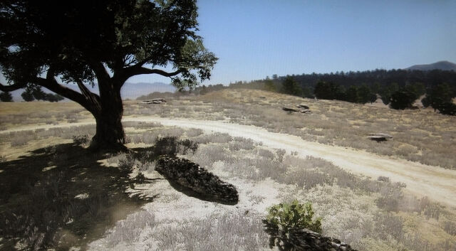 File:Rdr broken tree.jpg