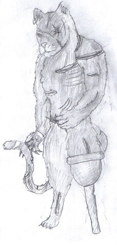 File:For Rakketytam.jpg