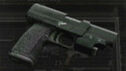RE4Weapon Punisher.jpg