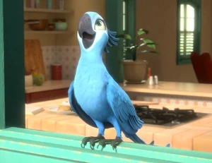 Jewel | Rio Wiki | Fandom powered by Wikia