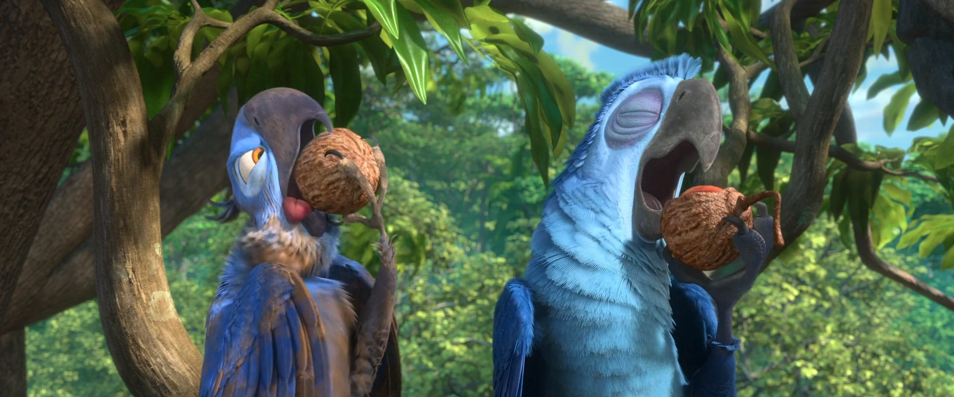 It's A Jungle Out Here Rio Wiki Fandom powered by Wikia