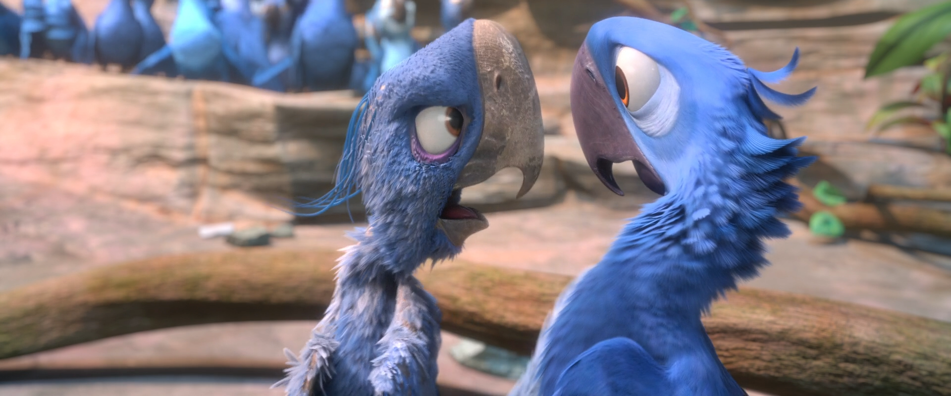 old-bird-rio-wiki-fandom-powered-by-wikia