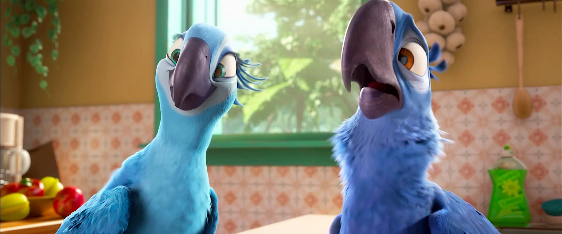 Image Rio2OfficialTrailer332.jpg Rio Wiki Fandom powered by Wikia