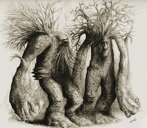 Ents
