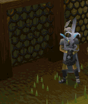 Agility course 2.gif