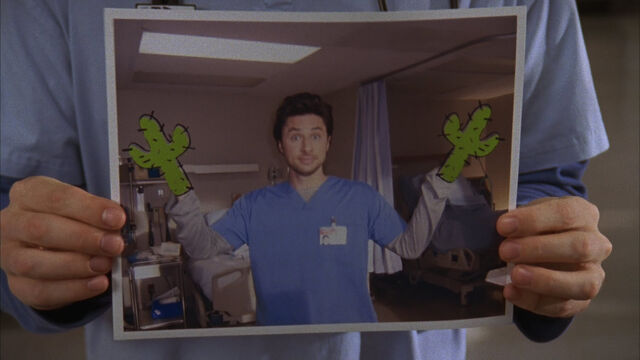 File:8x7 cactus hands.jpg