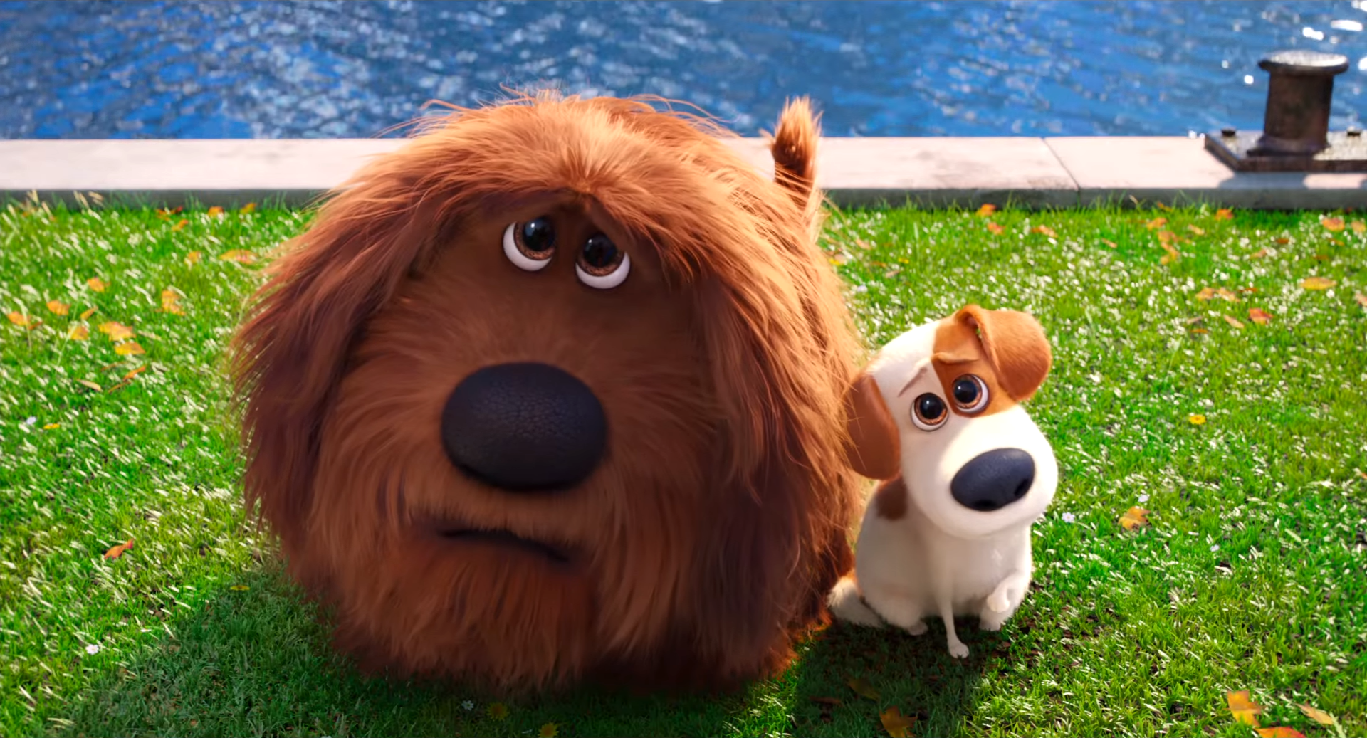Secret Life Of Pets Sausage Dog Name Secret Life Of Pets Sausage Dog Name