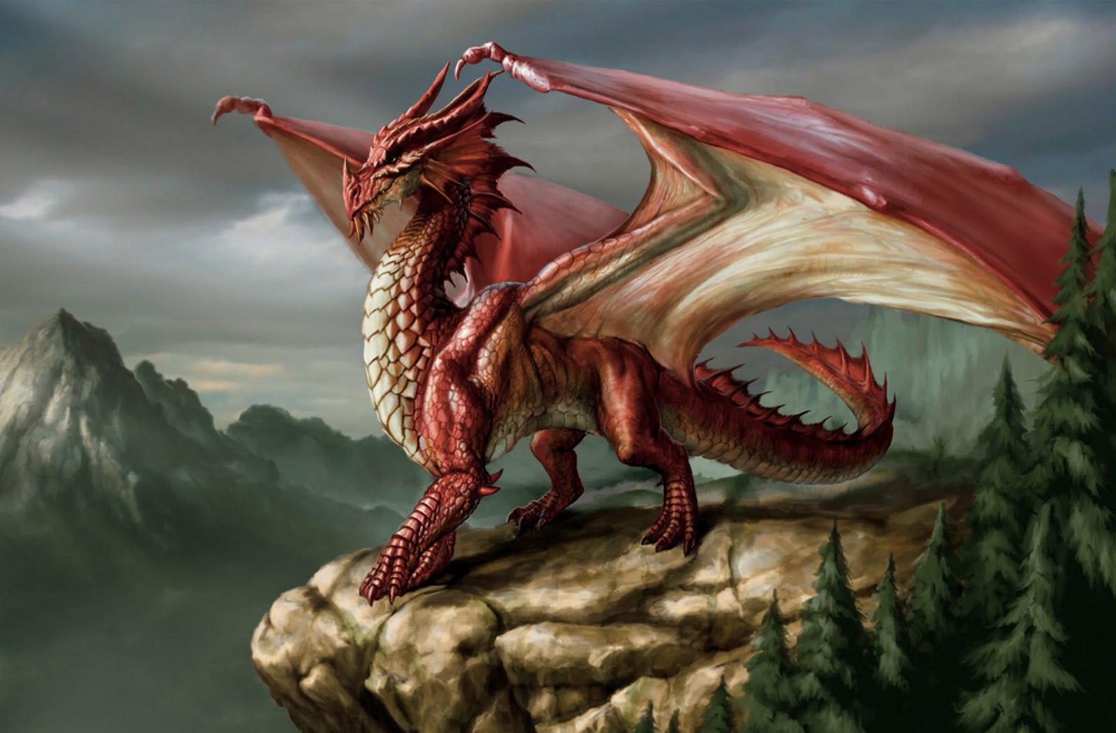 image de dragon