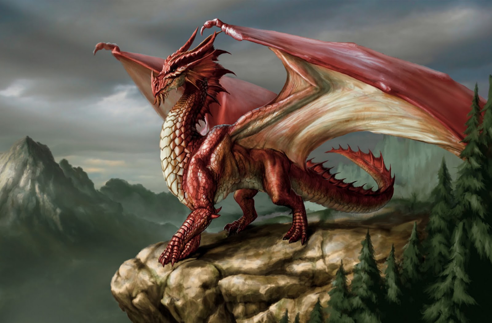 A western dragon.