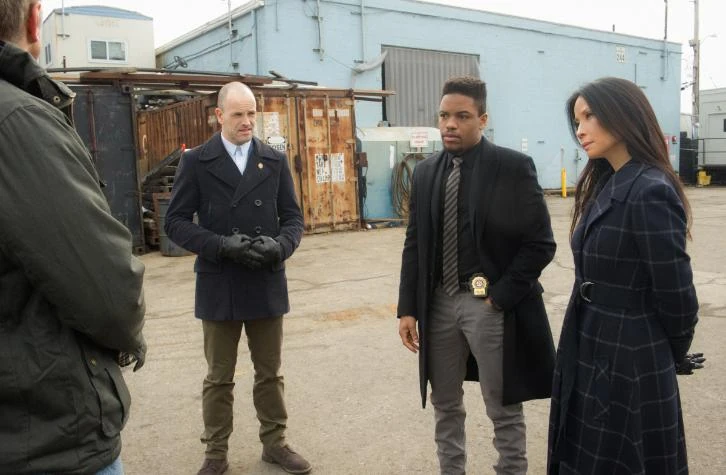 elementary 5x17