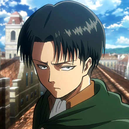 Levi Ackerman | Shingeki no Kyojin Wiki | Fandom powered by Wikia