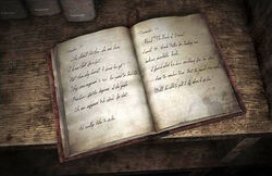 Claudia Wolf Diary.jpg