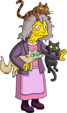 Image result for crazy cat lady