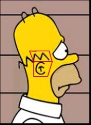 Homer de profil Matt Groening.jpg