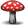 Hongo venenoso