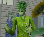Sims Weather Plantsim