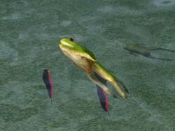 Sims 3 Stock Pond Deathfish In Riverview