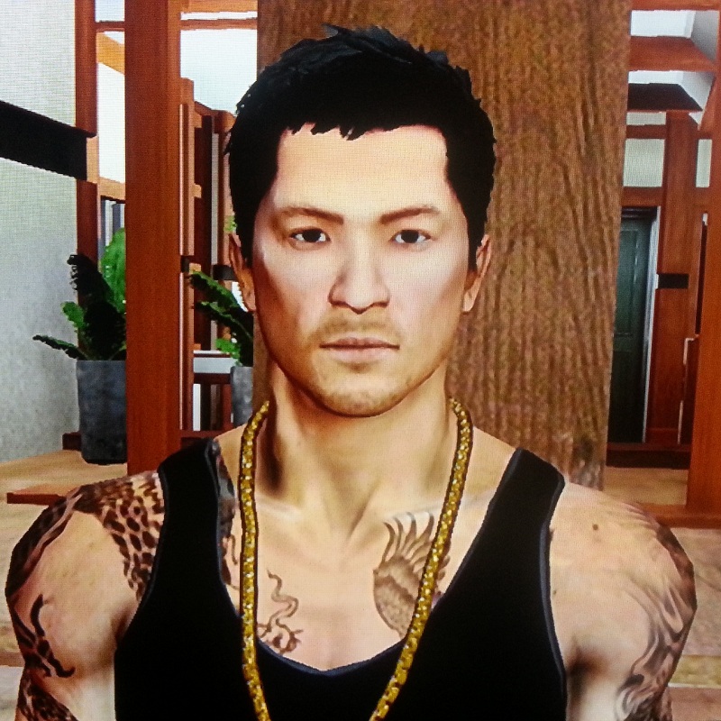 Sleeping Dogs, Sleeping Dogs Wiki