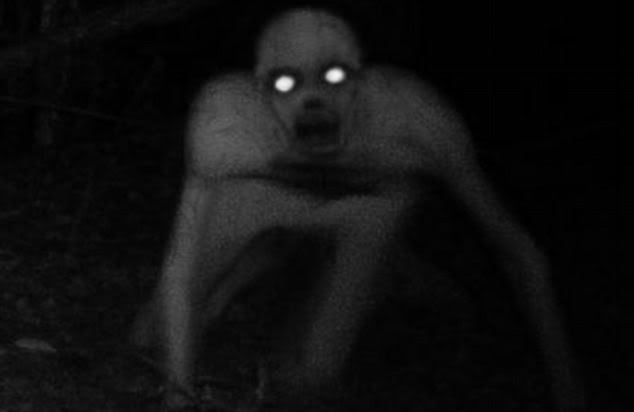 Its No Skin Walker Or Black Dog Supernatural Its No Skin Walker Or Black Dog Supernatural