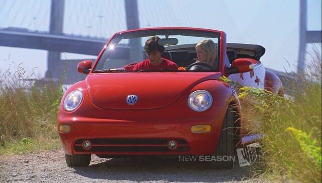 File:Chloebeetle.jpg