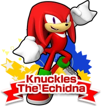 SRunners knuckles