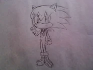 Cesar new design stp