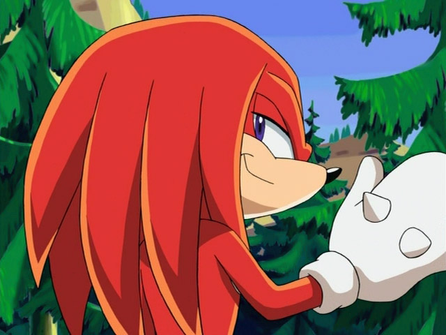 Datei:144knuckles.jpg | SonicWiki | Fandom powered by Wikia