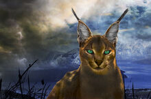 Hunter