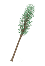 Sheona-7-UprootedTree