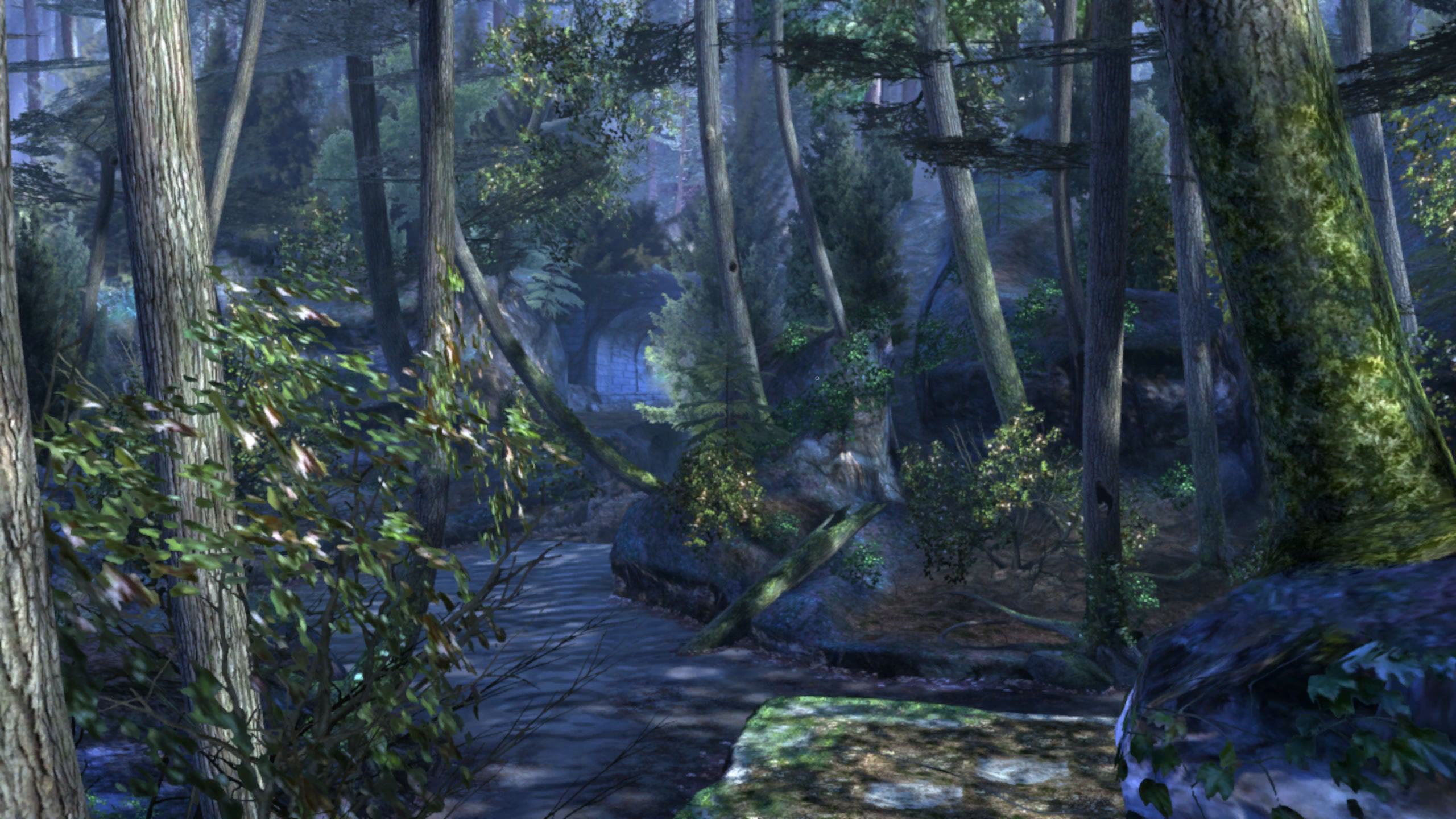 Descriptive writing about a forest at night picture