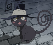 Blair Cat Form