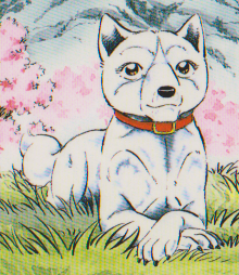 koyuki ginga koyuki spanish ginga wiki fandom powered by wikia koyuki ginga koyuki spanish ginga wiki fandom powered by wikia