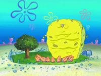 Big Sponge2