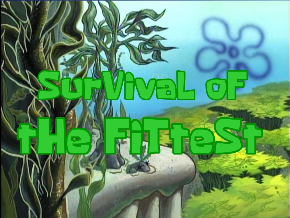 who stated survival of the fittest who stated survival of the fittest