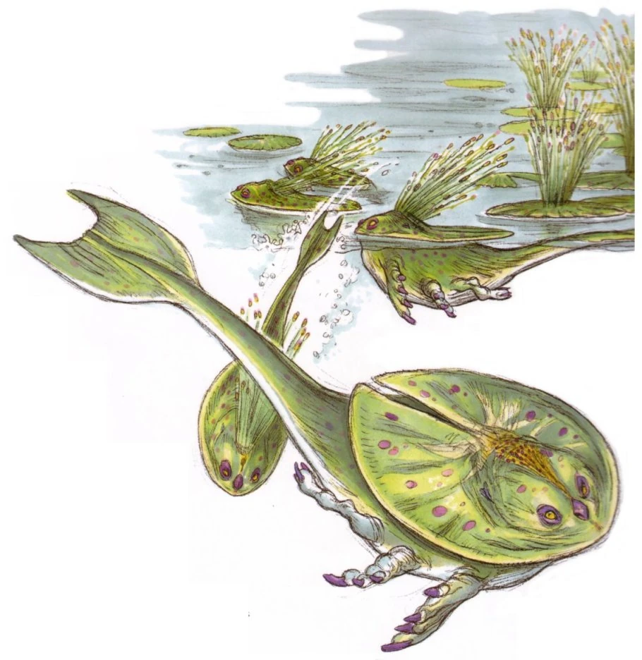 latest?cb=20060722204337