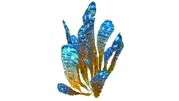 Spotted Dockleaf | Subnautica Wiki | Fandom powered by Wikia