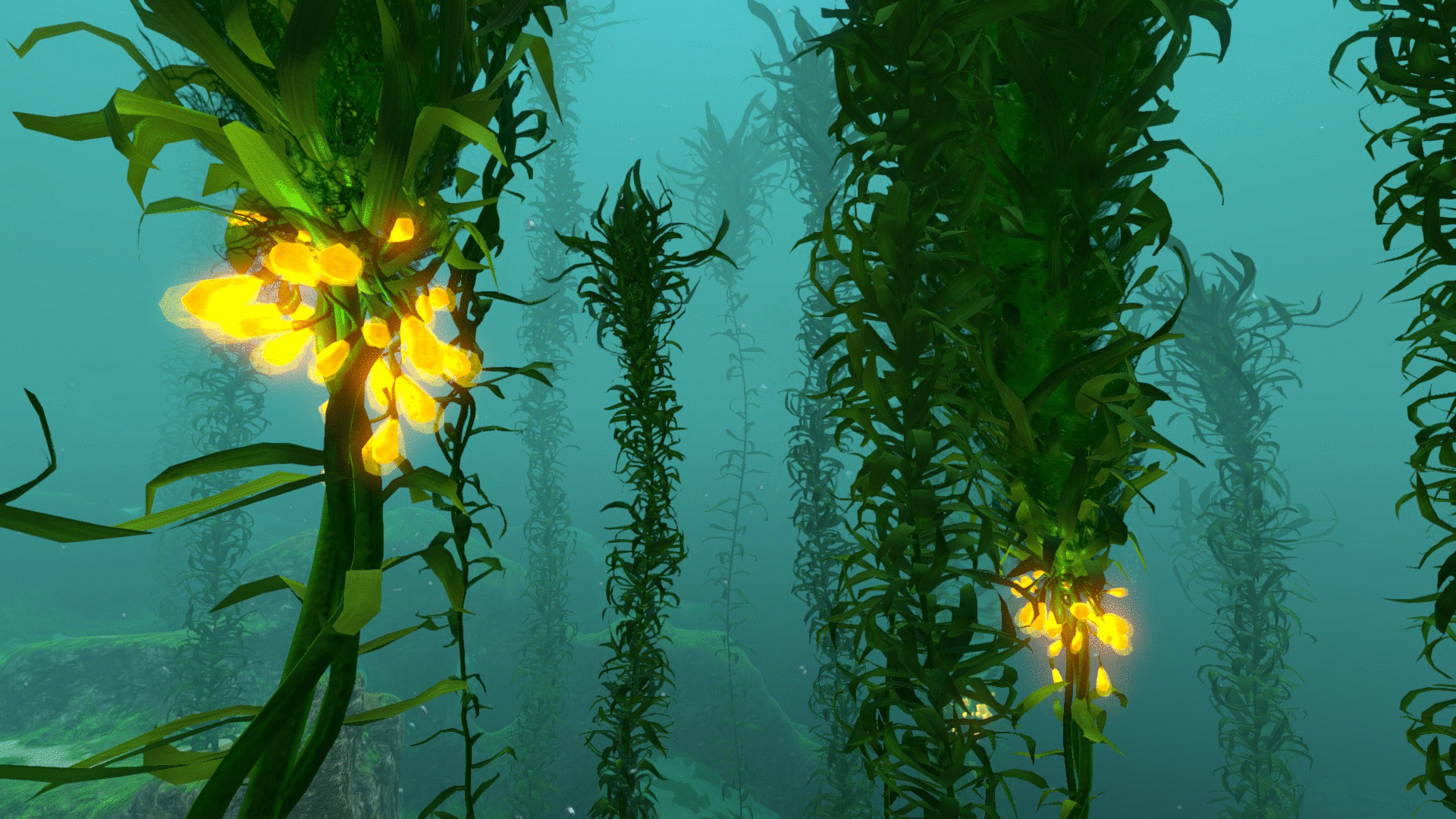 Image Kelp Forest (28).gif Subnautica Wiki Fandom powered by Wikia