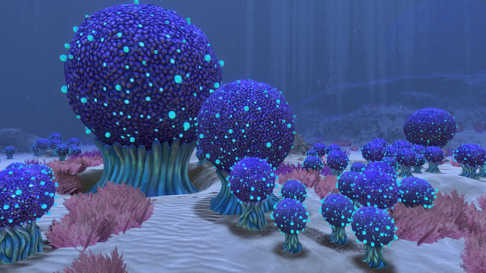 Koosh Zone | Subnautica Wiki | Fandom powered by Wikia