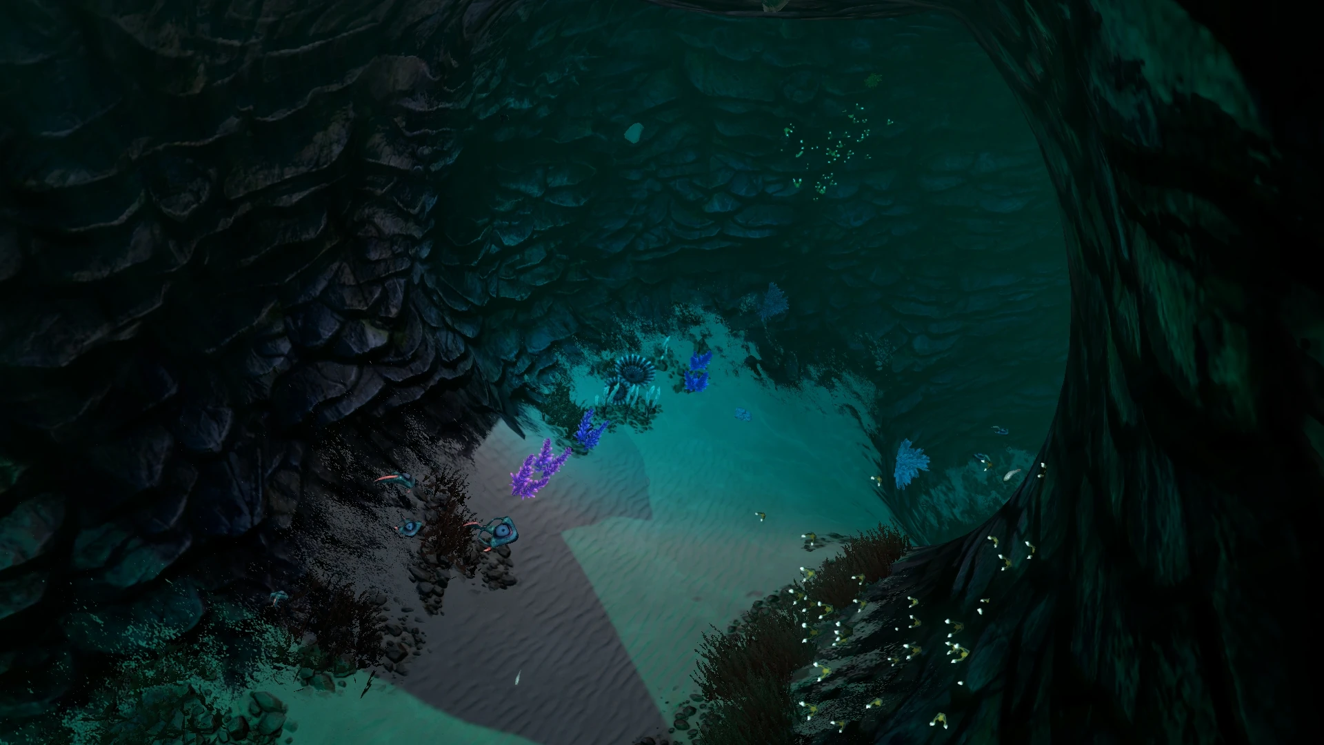 User blogGolby Face!/Found something is Sparse reef! Subnautica Wiki
