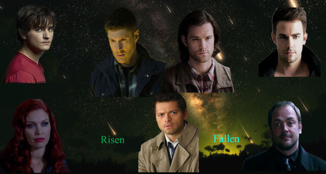 Risen and the Fallen