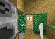 Survivalcraft 2014-09-04 11-17-40-