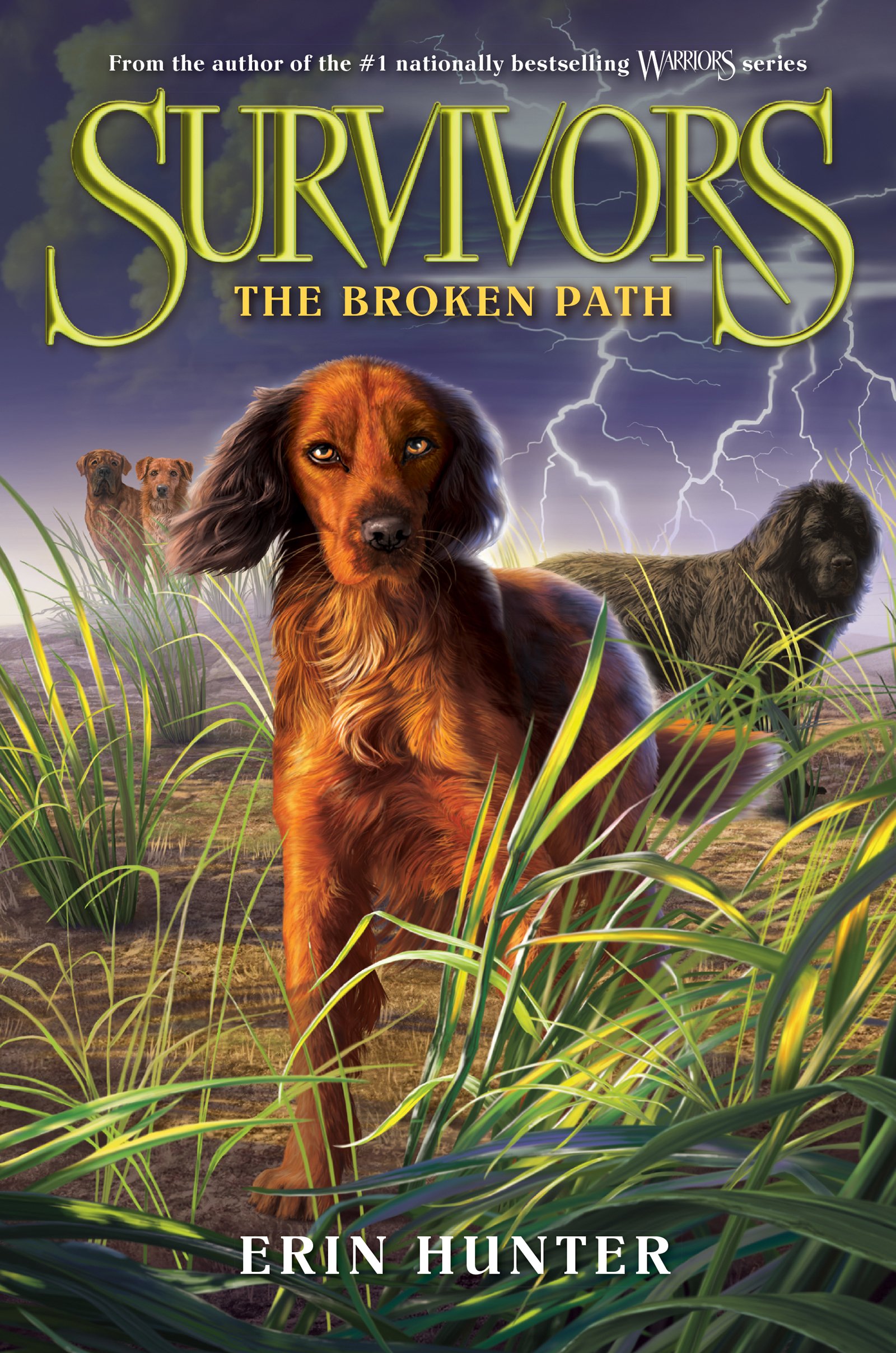 a dangerous path by erin hunter a dangerous path by erin hunter