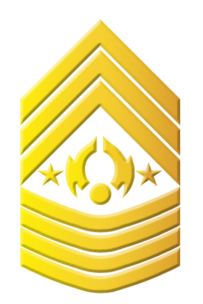 Sargent Major Rank Patch